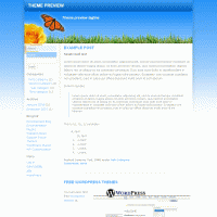 download wordpress theme now!