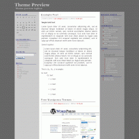 download wordpress theme now!