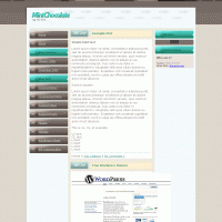 download wordpress theme now!