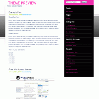 download wordpress theme now!