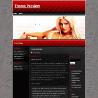 download wordpress theme now!