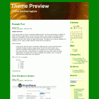 download wordpress theme now!