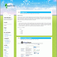 download wordpress theme now!