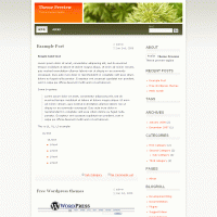 download wordpress theme now!