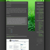 download wordpress theme now!