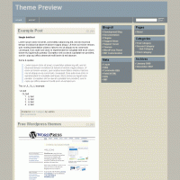 download wordpress theme now!