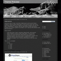 download wordpress theme now!