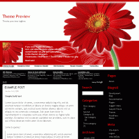 download wordpress theme now!