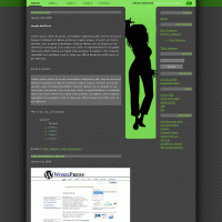 download wordpress theme now!