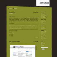 download wordpress theme now!