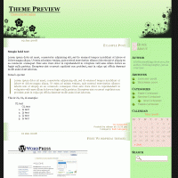 download wordpress theme now!