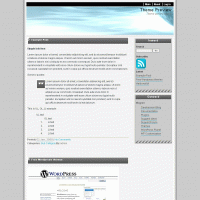 download wordpress theme now!