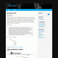 download wordpress theme now!