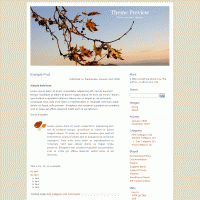 download wordpress theme now!