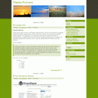 download wordpress theme now!