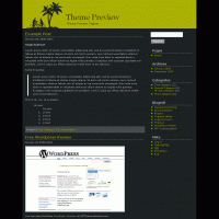 download wordpress theme now!