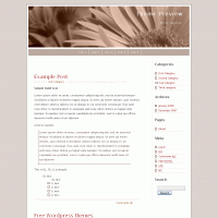 download wordpress theme now!