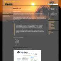 download wordpress theme now!