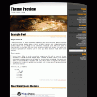 download wordpress theme now!