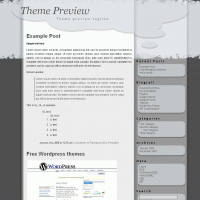 download wordpress theme now!