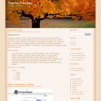 download wordpress theme now!