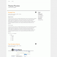 download wordpress theme now!