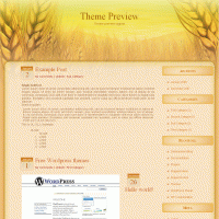 download wordpress theme now!