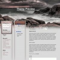 download wordpress theme now!