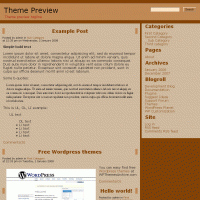 download wordpress theme now!