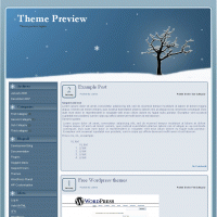 download wordpress theme now!