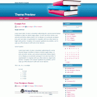 download wordpress theme now!