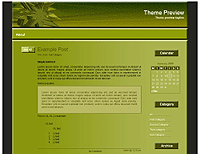 download wordpress theme now!