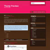 download wordpress theme now!