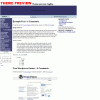 download wordpress theme now!