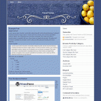 download wordpress theme now!