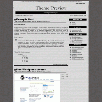 download wordpress theme now!