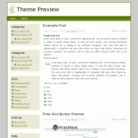 download wordpress theme now!