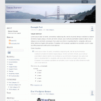 download wordpress theme now!