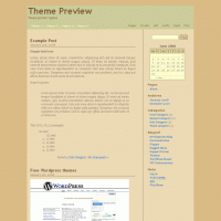 download wordpress theme now!