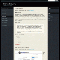 download wordpress theme now!