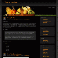 download wordpress theme now!