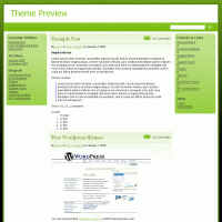 download wordpress theme now!