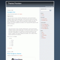 download wordpress theme now!