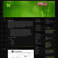 download wordpress theme now!