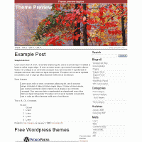 download wordpress theme now!