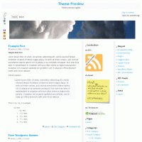 download wordpress theme now!