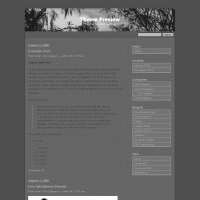 download wordpress theme now!