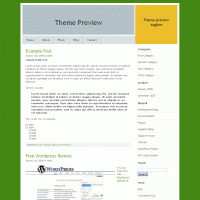 download wordpress theme now!