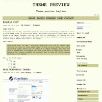 download wordpress theme now!