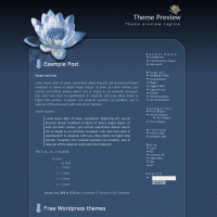 download wordpress theme now!